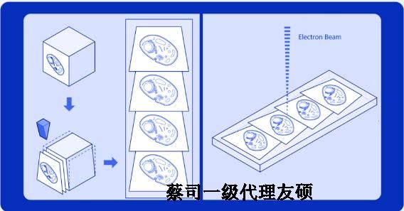 承德蔡司承德扫描电镜